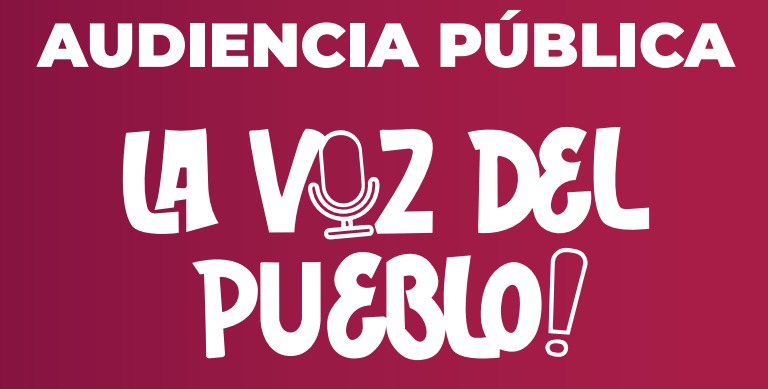 Audiencia Pública
